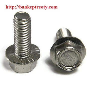 flange-head-bolt-500x500_-_copy